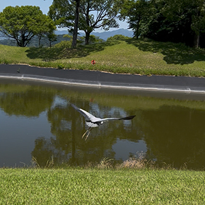 福岡エリア 派遣型】ロイヤルフェイス福岡担当の池邉です☆
