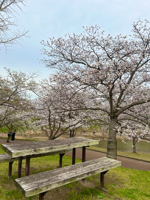 【福岡エリア 派遣型】ロイヤルフェイス福岡担当の池邉です☆